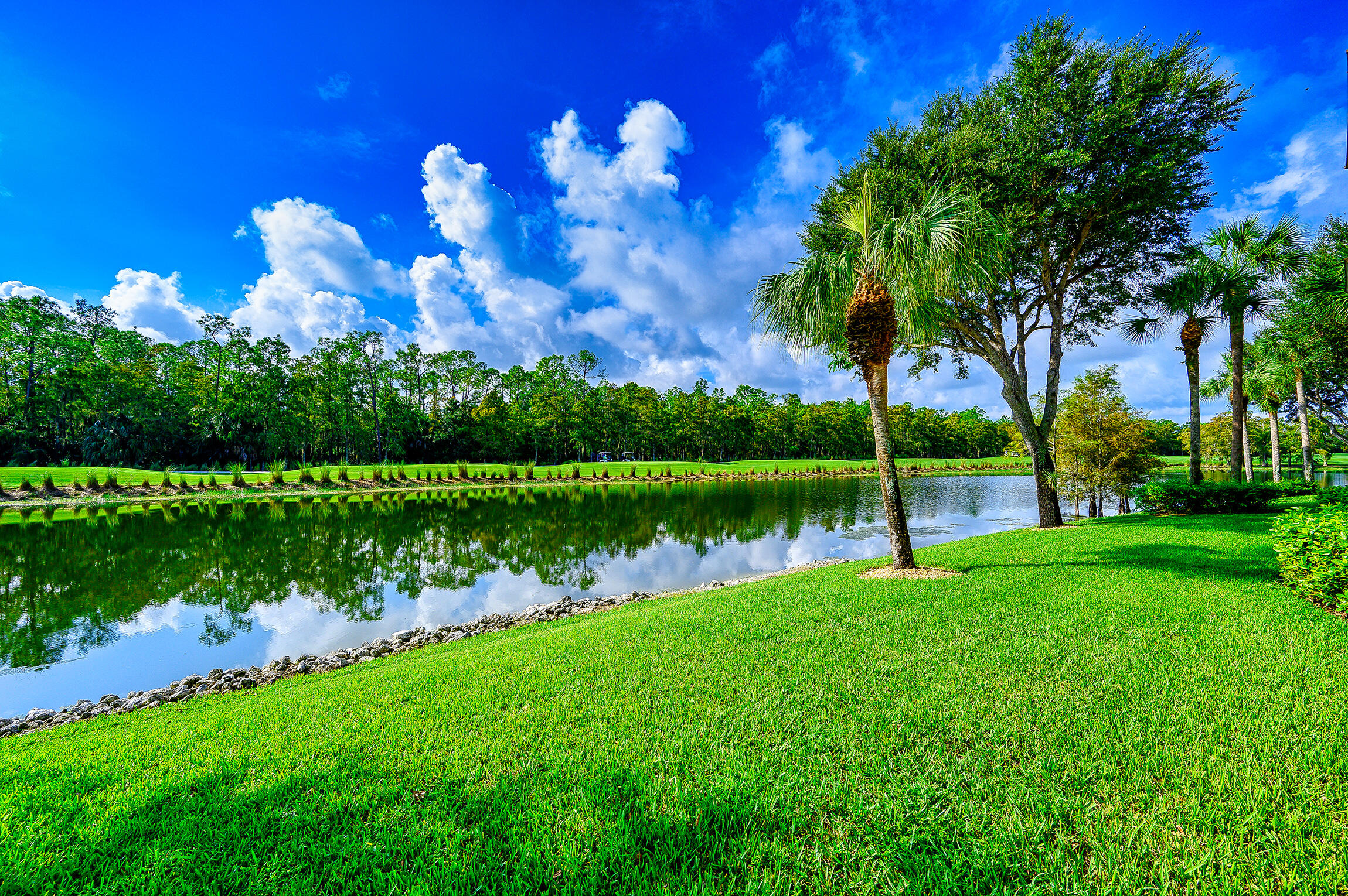 8660 Cedar Hammock Circle, Unit 314 Naples, FL 34112 - Photo 14 of 31 a view of a lake with a yard