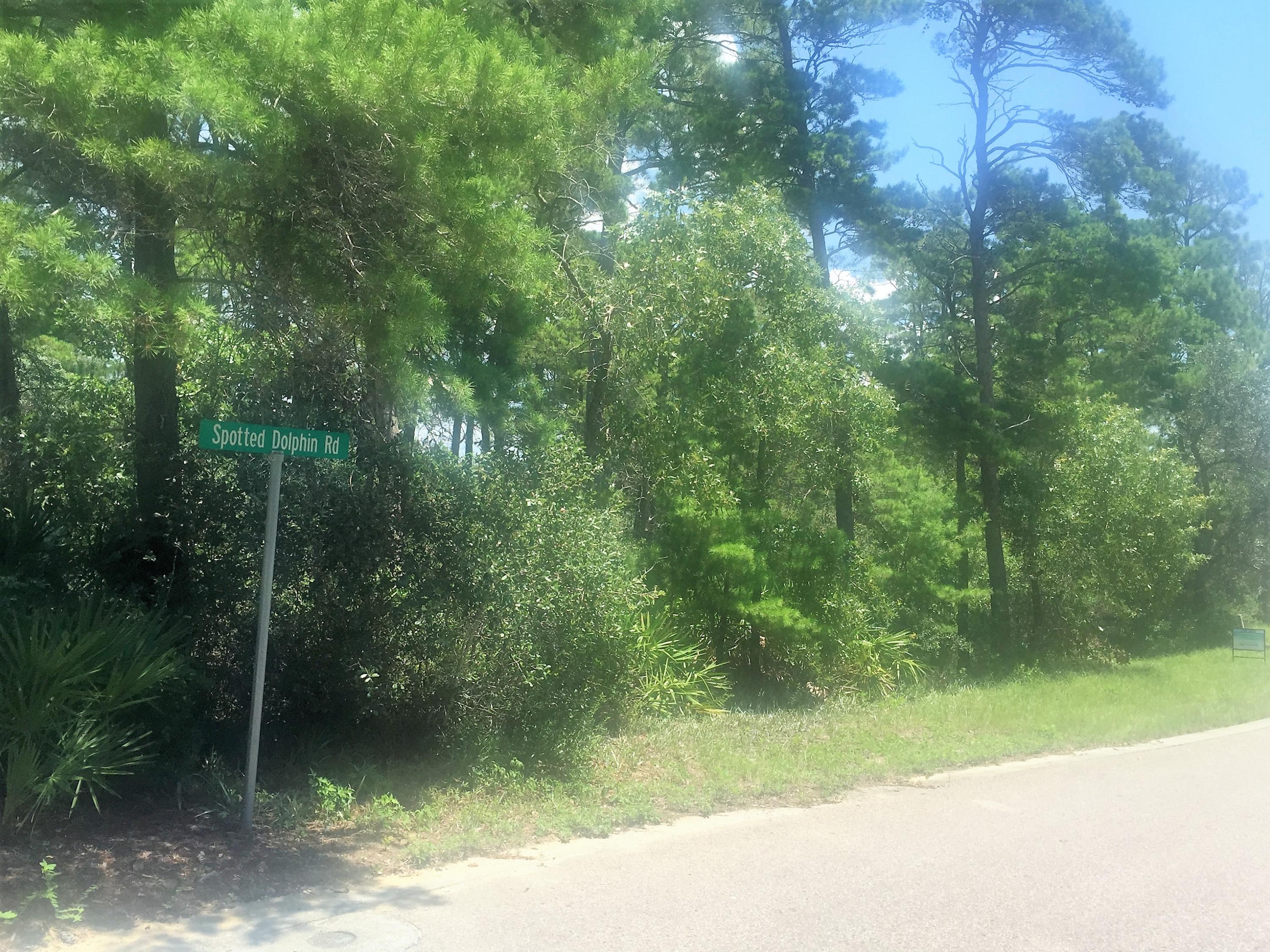 0 East Spotted Dolphin Road Santa Rosa Beach, FL 32459 - Photo 1 of 5 a view of a yard