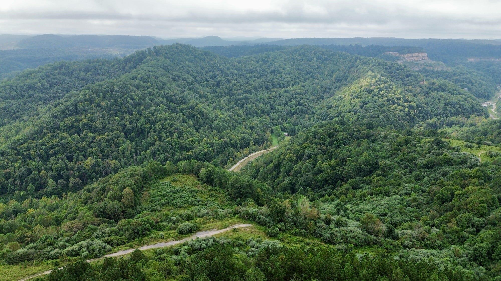 9074 Wolf Creek Road Pilgrim, KY 41250 - Photo 73 of 133 Aerial of Property