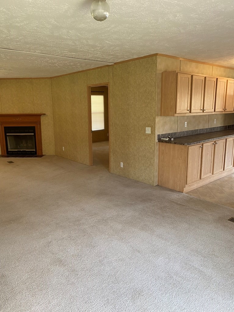 175 Fairview Road Athens, TN 37303 - Photo 33 of 46 a view of an empty room with a fireplace and a window