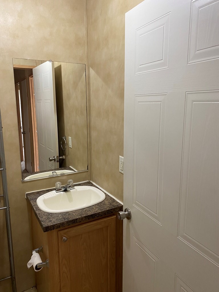 175 Fairview Road Athens, TN 37303 - Photo 42 of 46 a bathroom with a sink and mirror