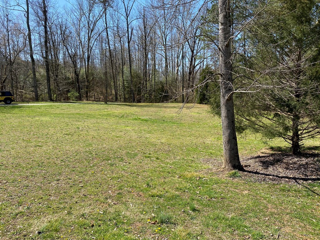 175 Fairview Road Athens, TN 37303 - Photo 8 of 46 a view of a yard with trees