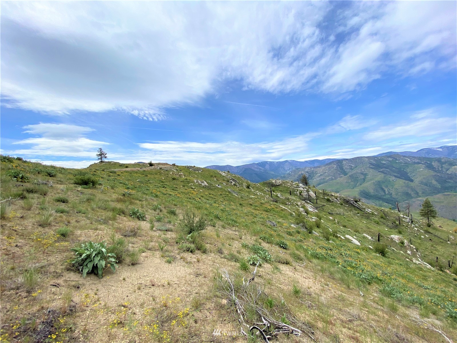 0 Sky Ridge Road Pateros, WA 98846 - Photo 23 of 39 a view of a lush green space with sea