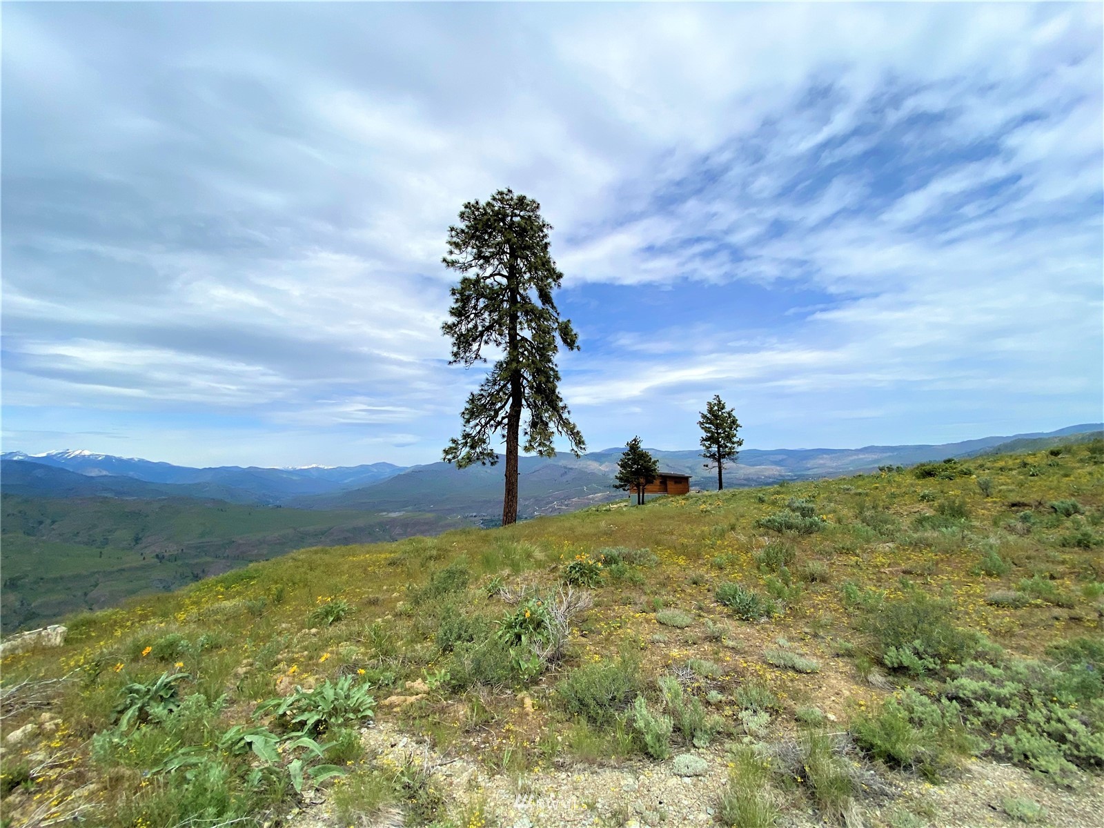 0 Sky Ridge Road Pateros, WA 98846 - Photo 27 of 39 a view of a field with an ocean