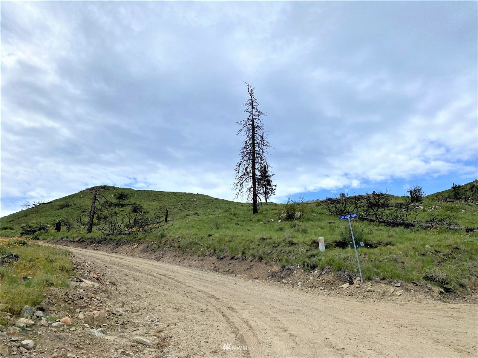 0 Sky Ridge Road Pateros, WA 98846 - Photo 7 of 39 a view of a garden with a pathway