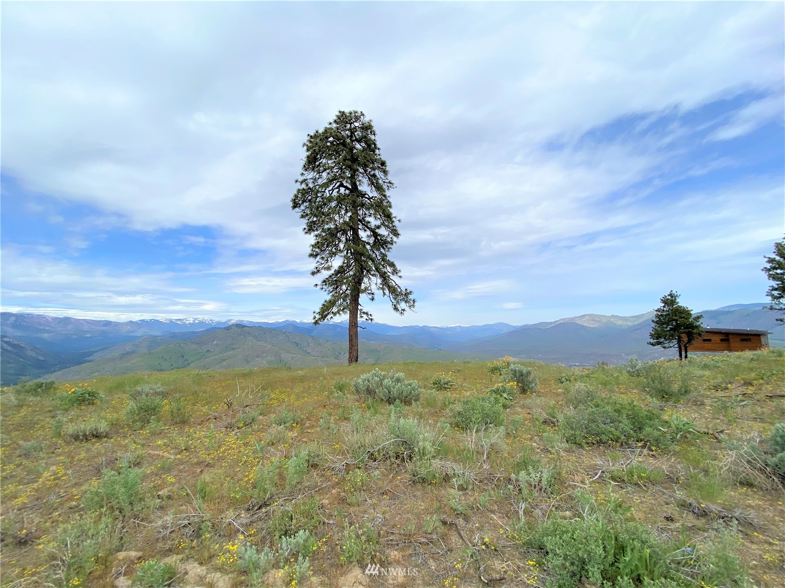0 Sky Ridge Road Pateros, WA 98846 - Photo 10 of 39 a view of a yard