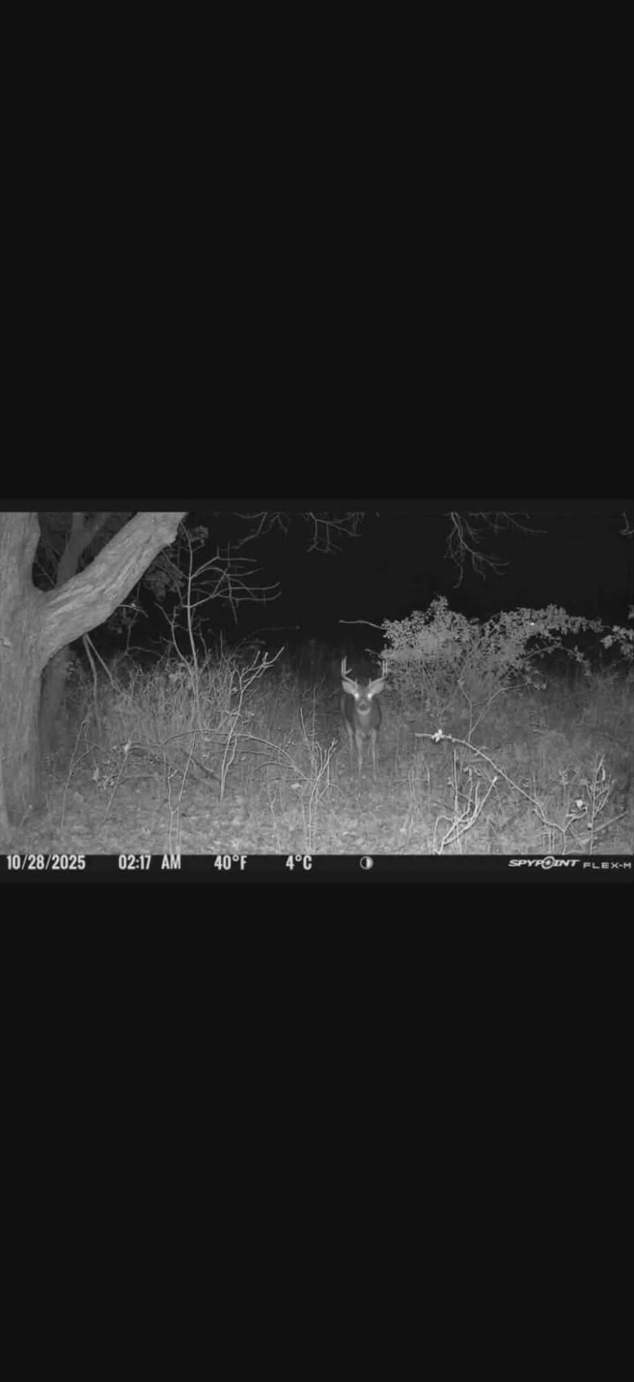 0 Springport Road Springport, MI 49284 - Photo 3 of 4 FRONT PIC