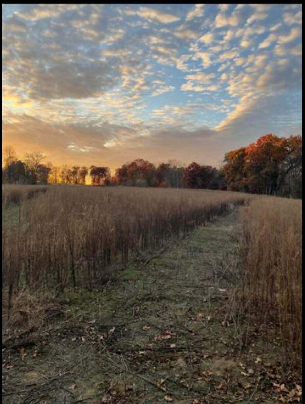 0 Springport Road Springport, MI 49284 - Photo 4 of 4 pic 2