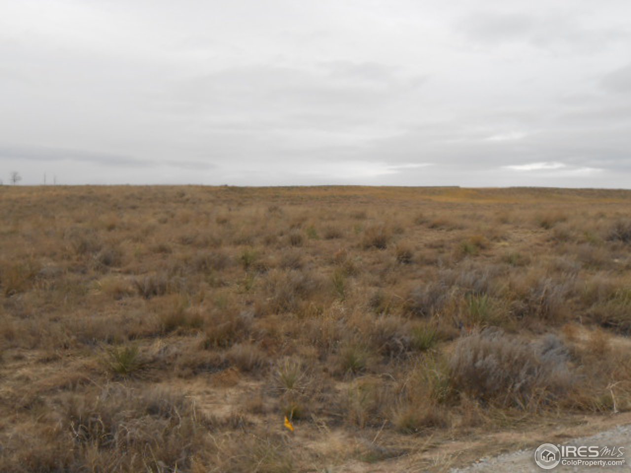 7893 Rd P.3 Wiggins, CO 80654 - Photo 3 of 3 Gallery Image 3