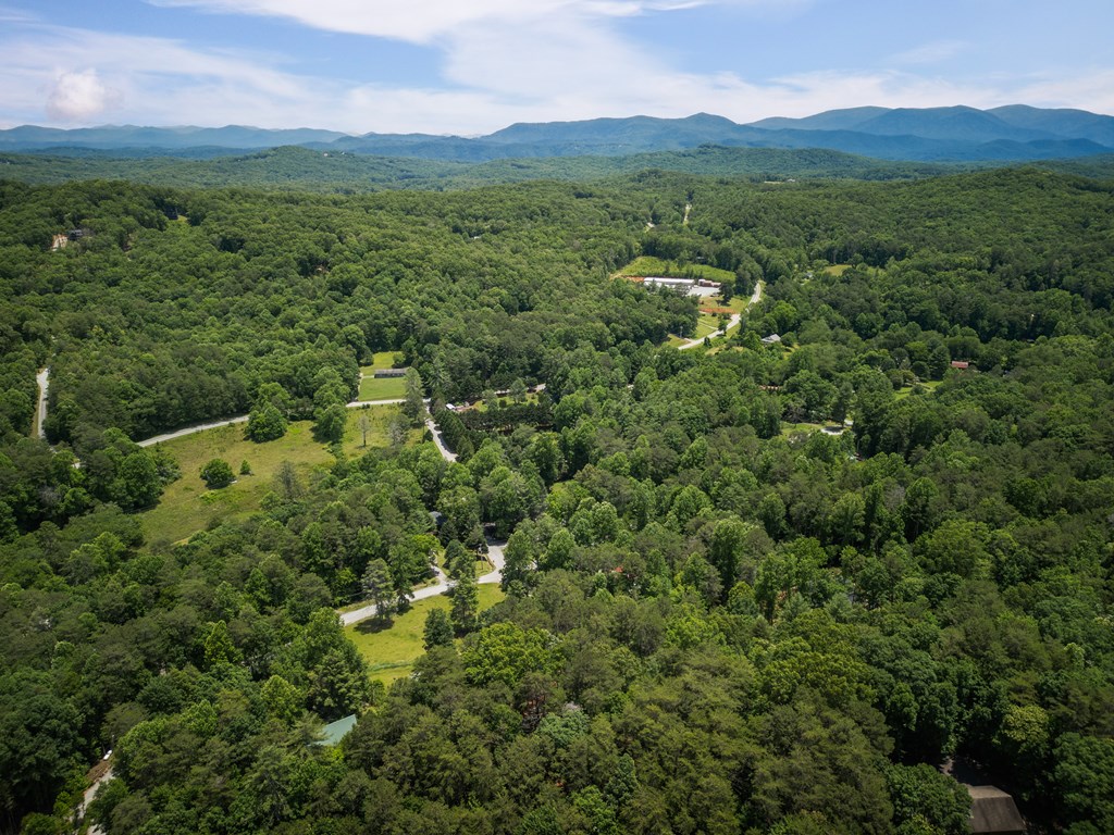 190 Laurel Crossing Blue Ridge, GA 30513 - Photo 27 of 30