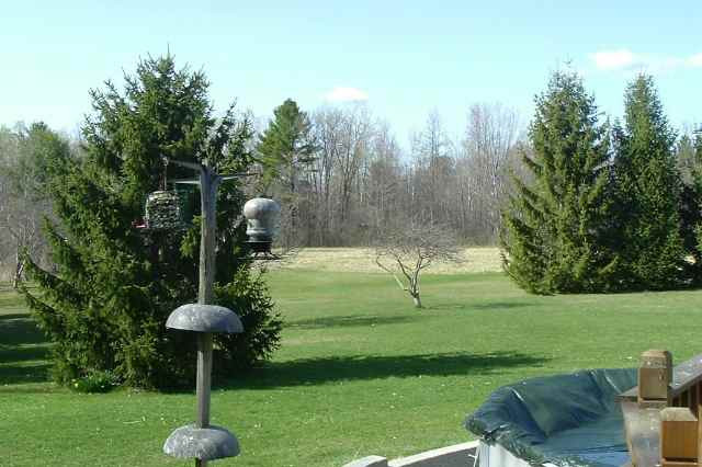 312 Round Lake Road Ballston, NY 12019 - Photo 4 of 6 Photo 4