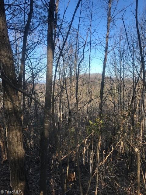 20 Rosebrier Road Boomer, NC 28606 - Photo 1 of 7 Gallery Image 1