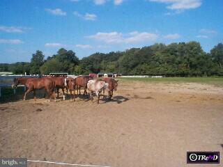 52 West Wolfert Station Road Mickleton, NJ 08056 - Photo 6 of 6