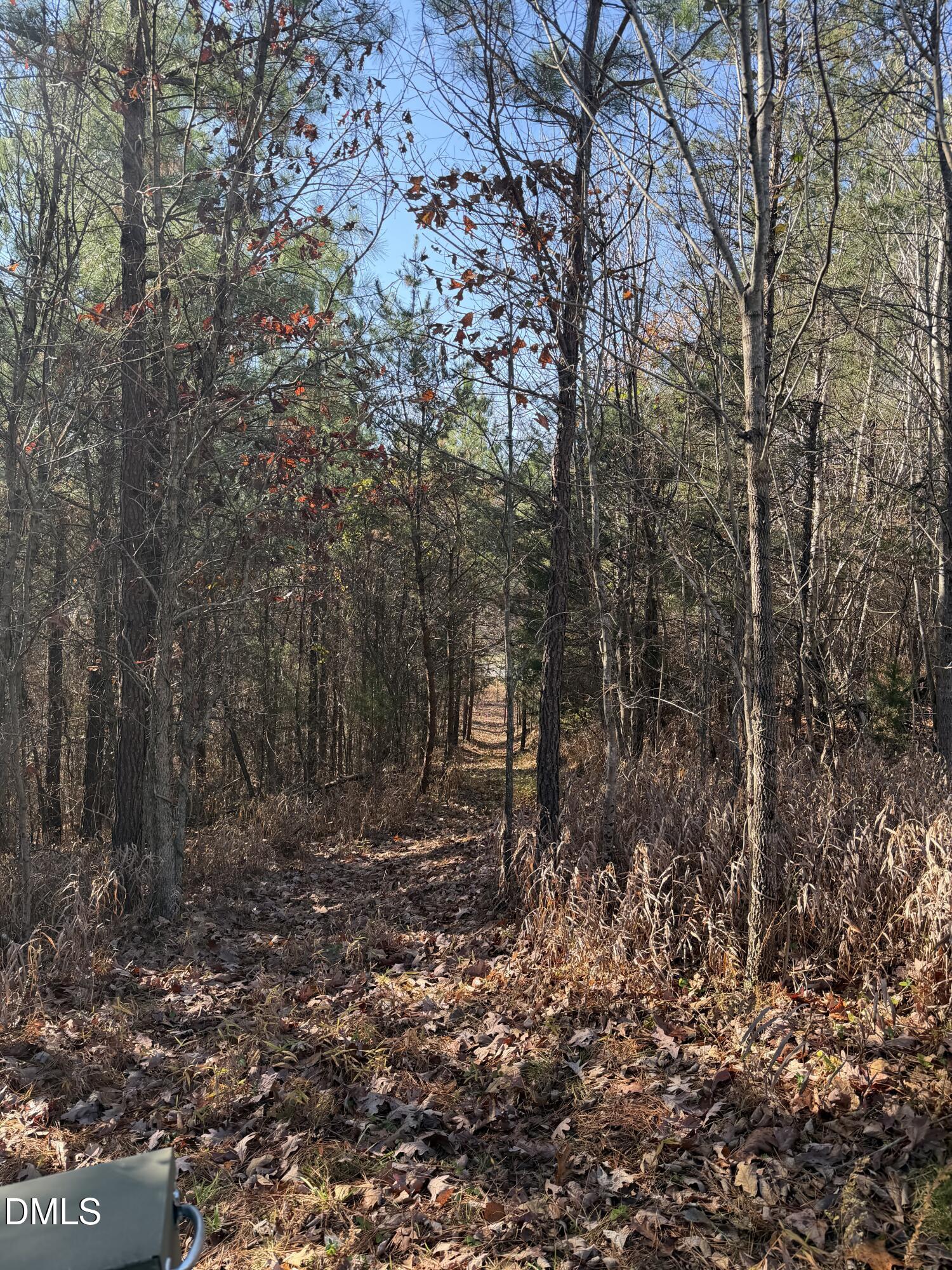 Lot 13 Park Springs Road Providence, NC 27315 - Photo 8 of 9 a view of a forest with trees