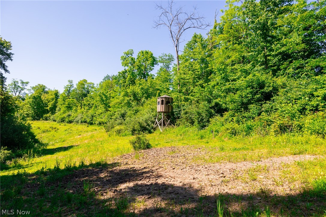 84143 Gilmore Ridge Road Cadiz, OH 43907 - Photo 7 of 32