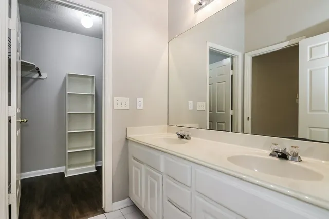 a bathroom with a sink and a large mirror