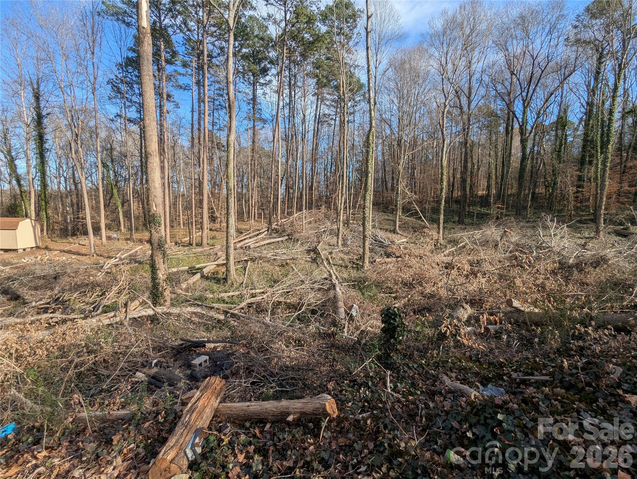 2344 Hillcrest Road Dallas, NC 28034 - Photo 11 of 11 a view of forest