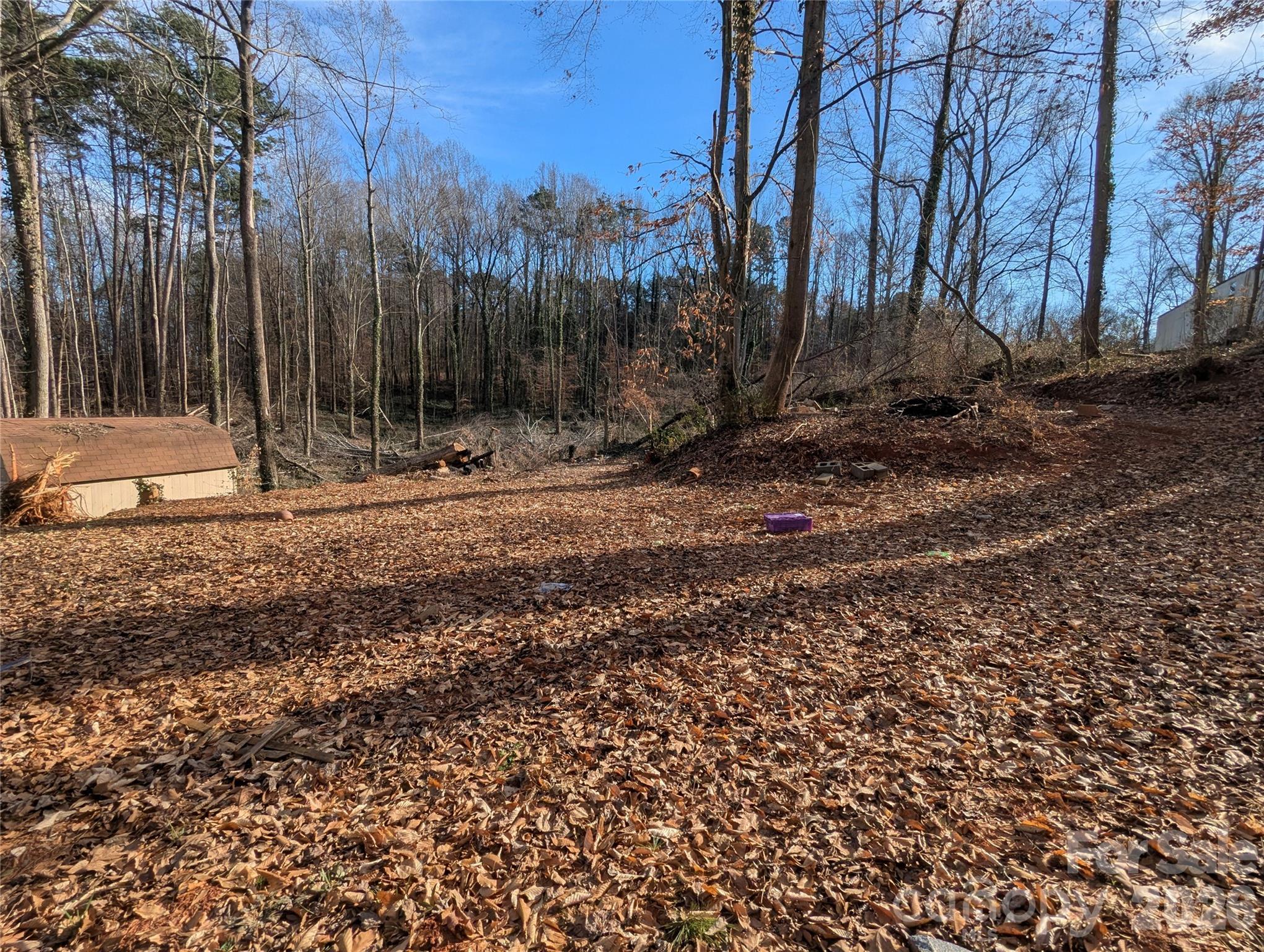 2344 Hillcrest Road Dallas, NC 28034 - Photo 5 of 11 a backyard of a house with large trees