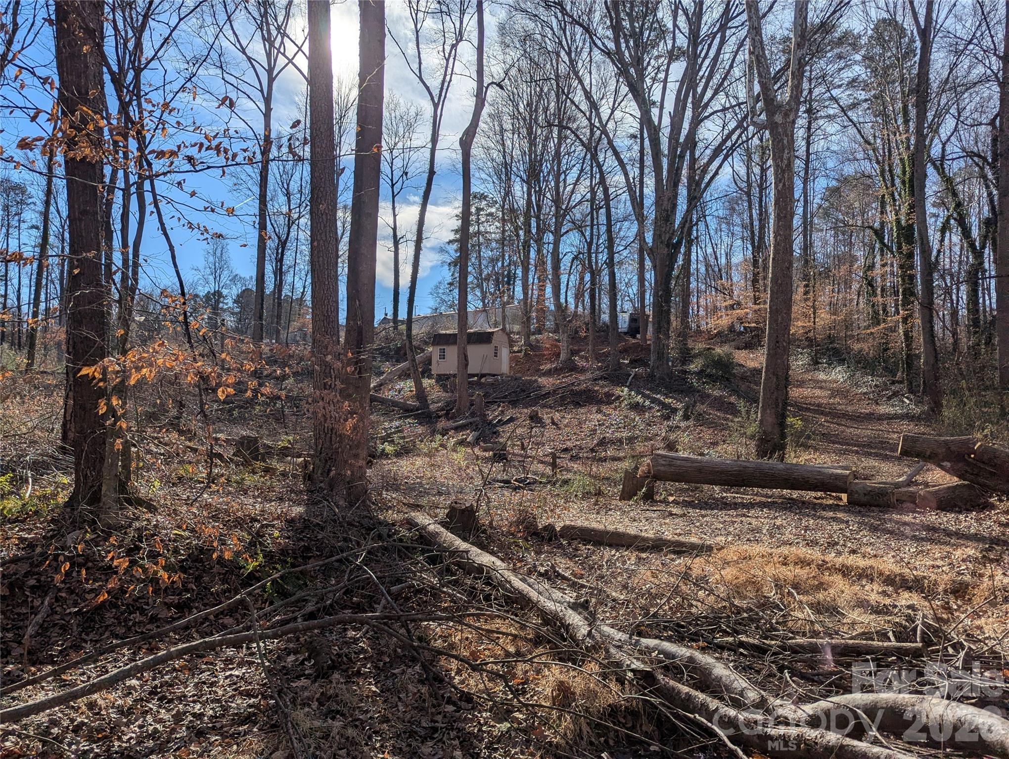 2344 Hillcrest Road Dallas, NC 28034 - Photo 6 of 11 a backyard of a house with lots of green space