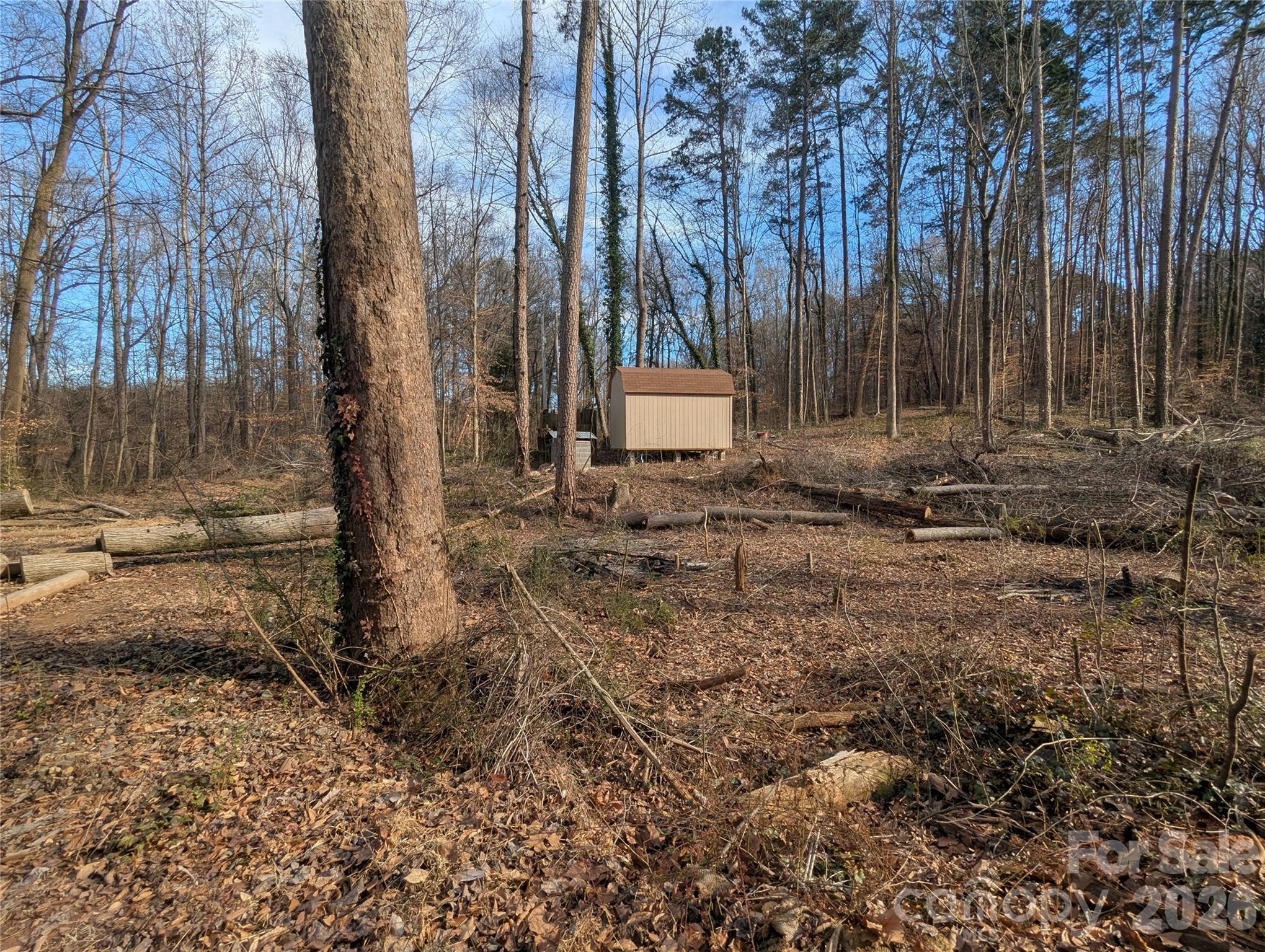 2344 Hillcrest Road Dallas, NC 28034 - Photo 7 of 11 a view of a backyard with large trees