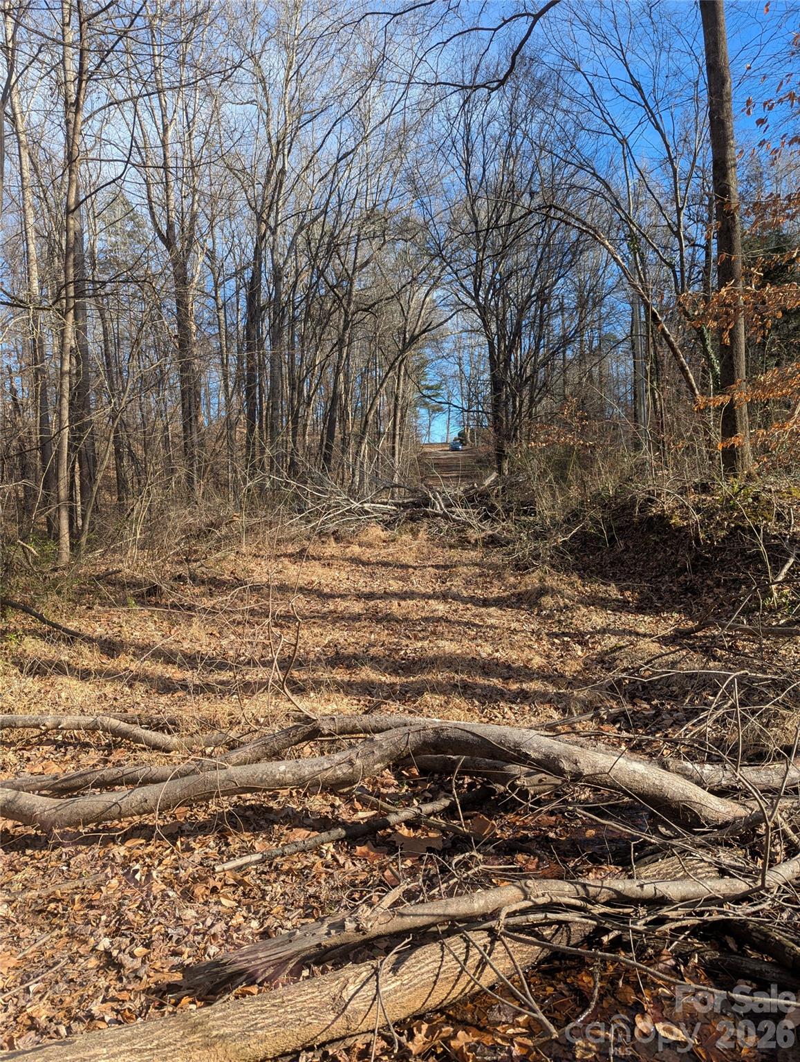 2344 Hillcrest Road Dallas, NC 28034 - Photo 8 of 11 a view of a backyard of the house