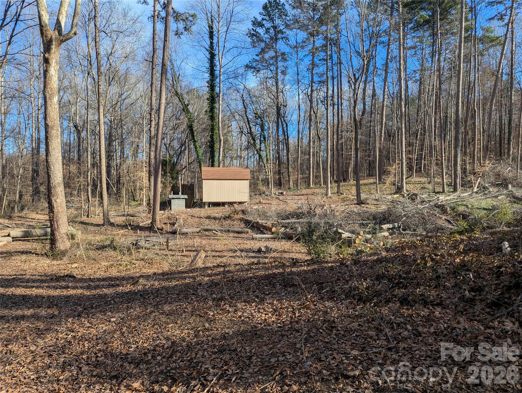 2344 Hillcrest Road Dallas, NC 28034 - Photo 10 of 11 a view of a backyard with green space