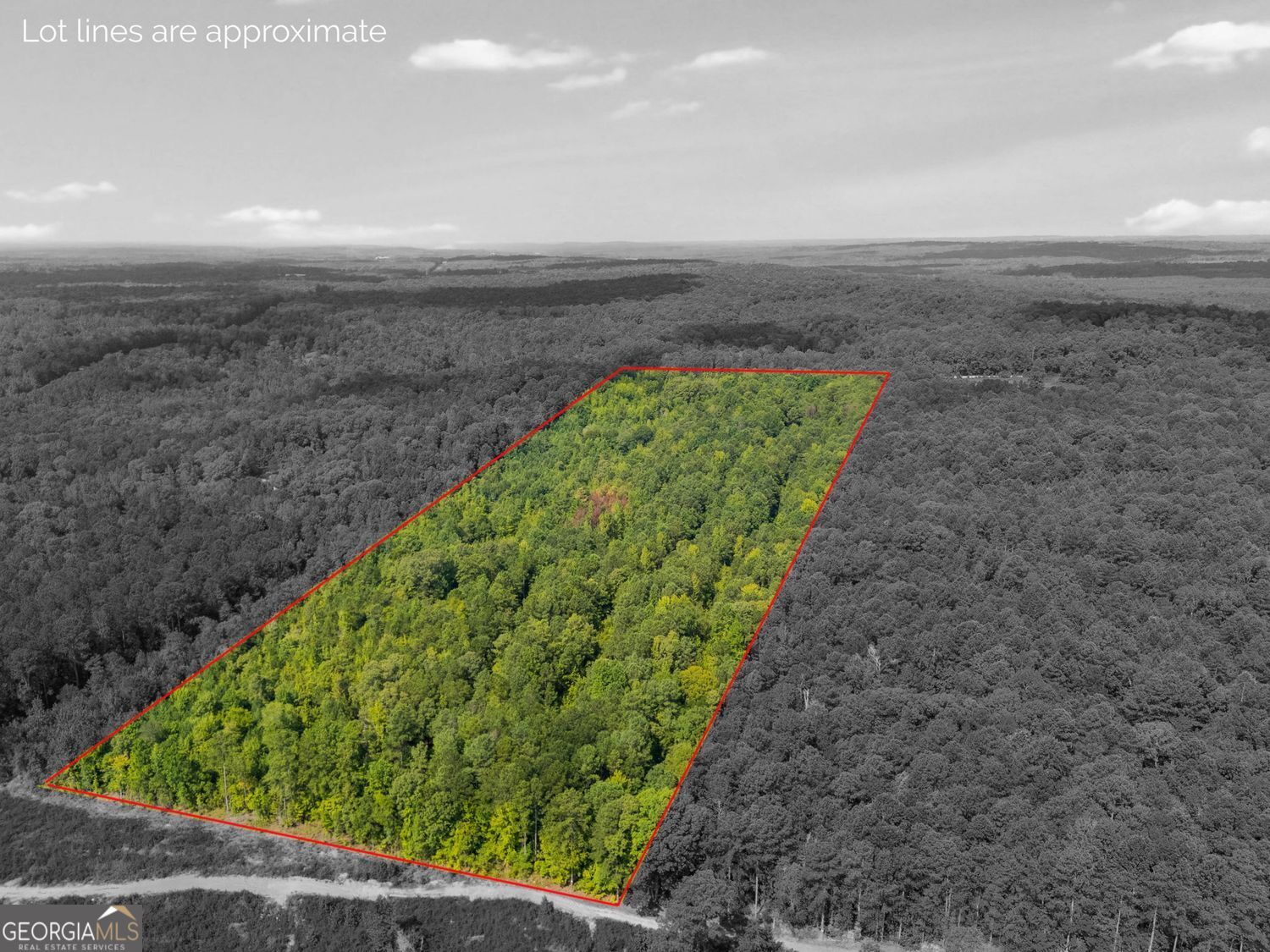 a view of a garden with an outdoor space