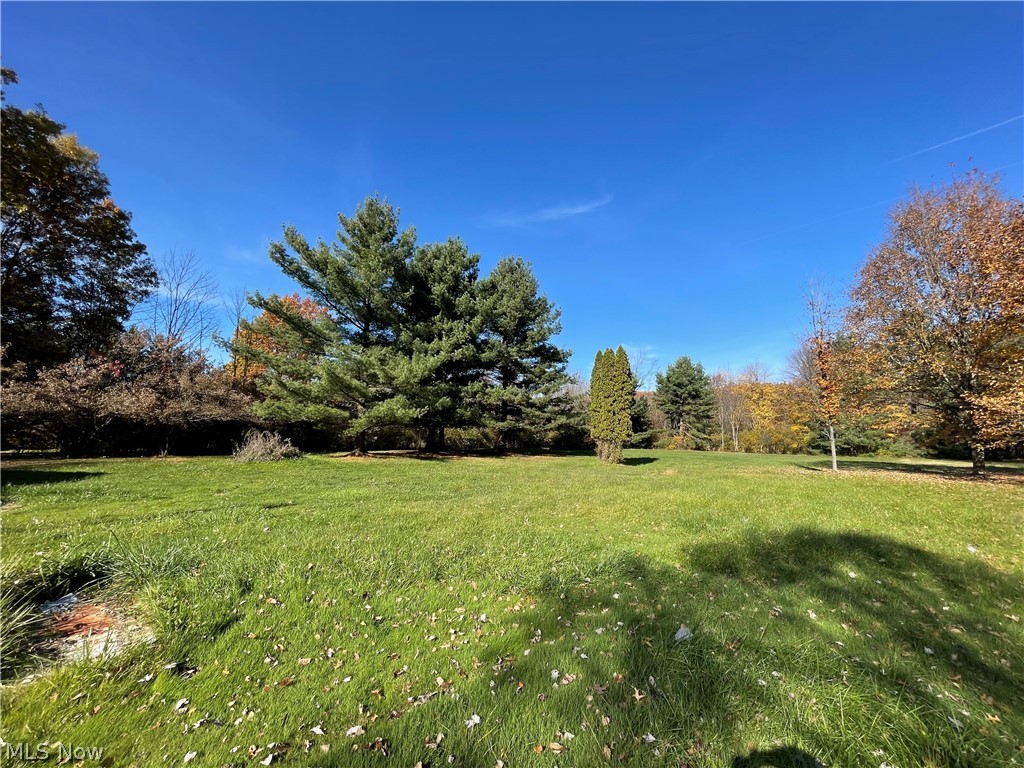 8991 Smith Road Litchfield, OH 44253 - Photo 13 of 35 Gallery Image 13