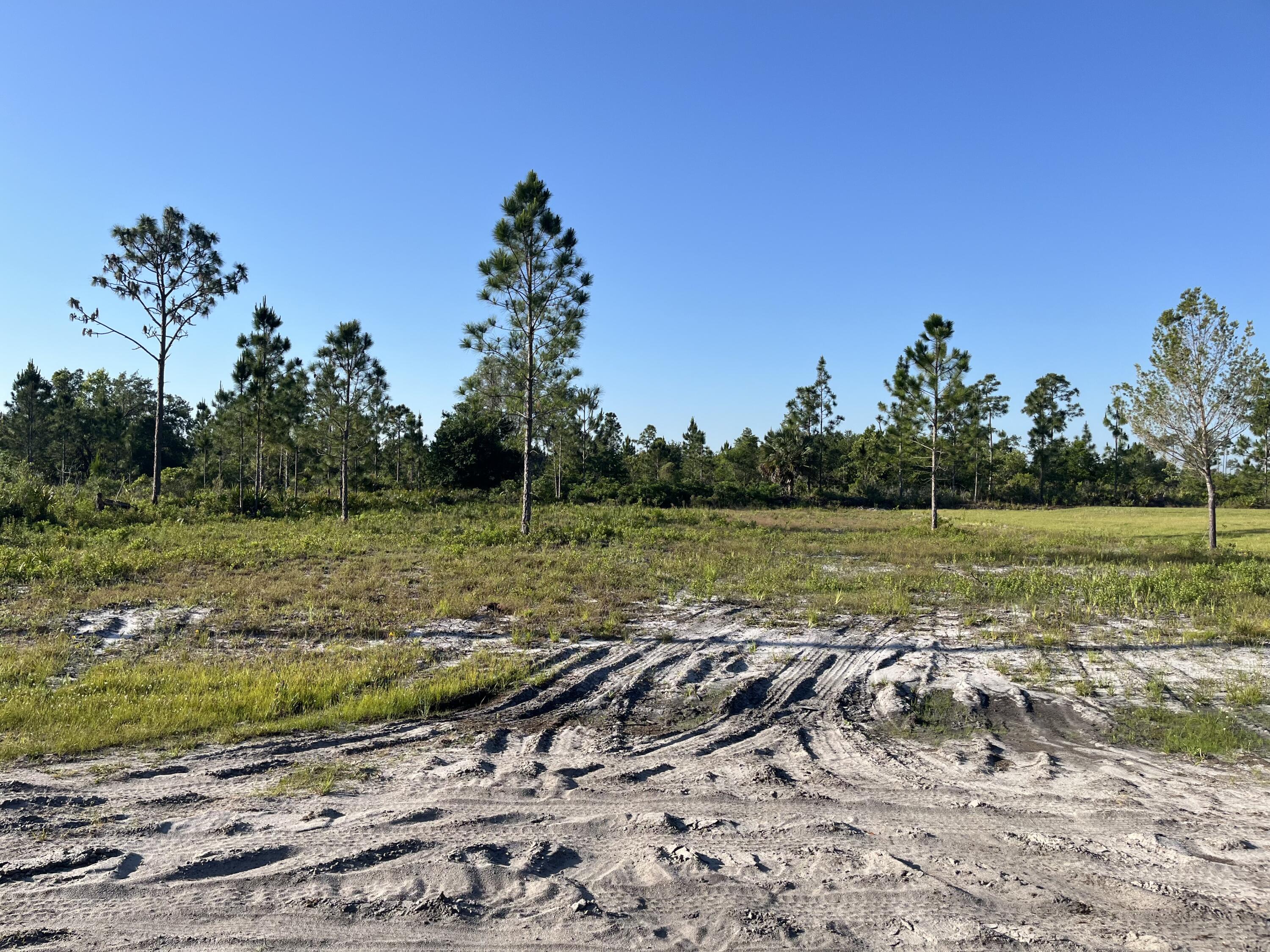0 Calendula Drive Frostproof, FL 33843 - Photo 2 of 9 a view of a field with a sink