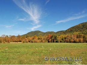 850 Cane Creek Road, Unit 1 Fletcher, NC 28732 - Photo 2 of 5 Gallery Image 2