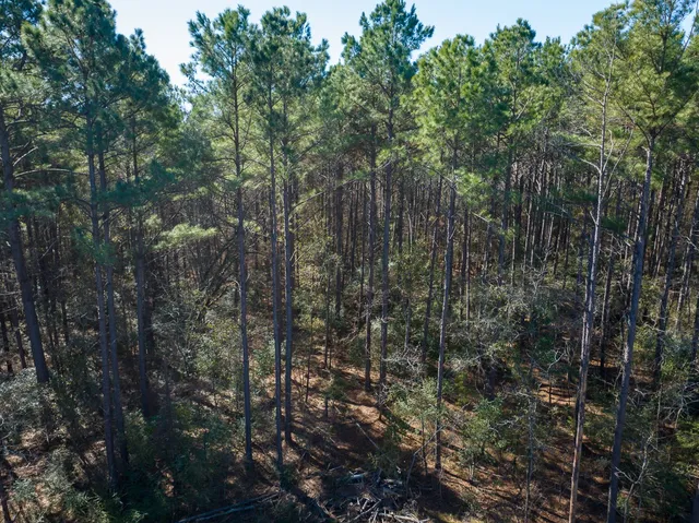 $40,000 | Tbd O'Quinn Road, Pollok, TX 75969