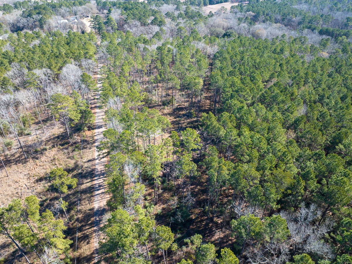 Tbd O'Quinn Road Pollok, TX 75969 - Photo 13 of 30