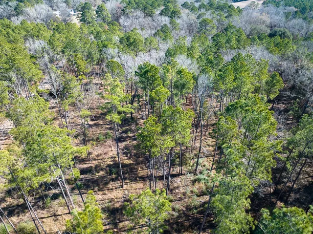 $40,000 | Tbd O'Quinn Road, Pollok, TX 75969