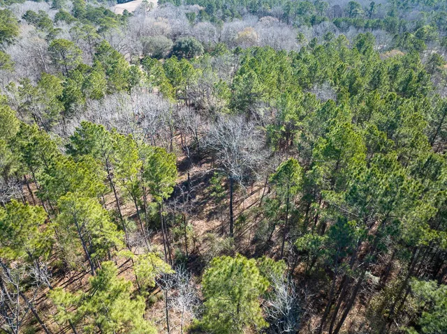 $40,000 | Tbd O'Quinn Road, Pollok, TX 75969