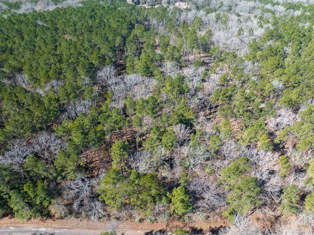 $40,000 | Tbd O'Quinn Road, Pollok, TX 75969