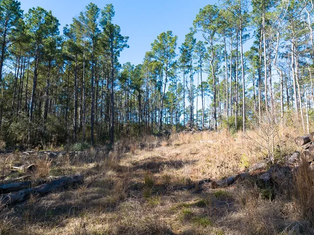 $40,000 | Tbd O'Quinn Road, Pollok, TX 75969