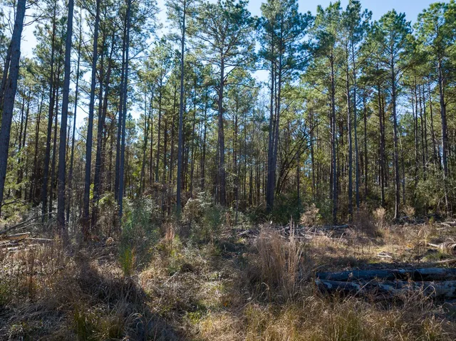 $40,000 | Tbd O'Quinn Road, Pollok, TX 75969