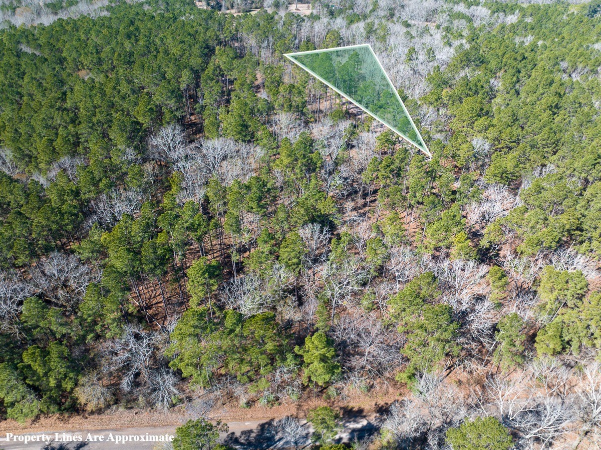 Tbd O'Quinn Road Pollok, TX 75969 - Photo 3 of 30