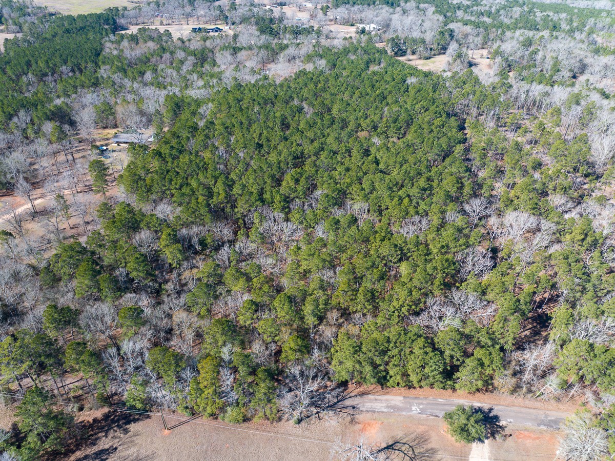 Tbd O'Quinn Road Pollok, TX 75969 - Photo 4 of 30