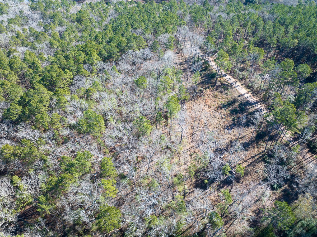 Tbd O'Quinn Road Pollok, TX 75969 - Photo 5 of 30