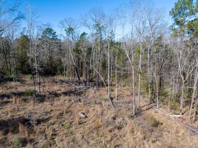 $40,000 | Tbd O'Quinn Road, Pollok, TX 75969