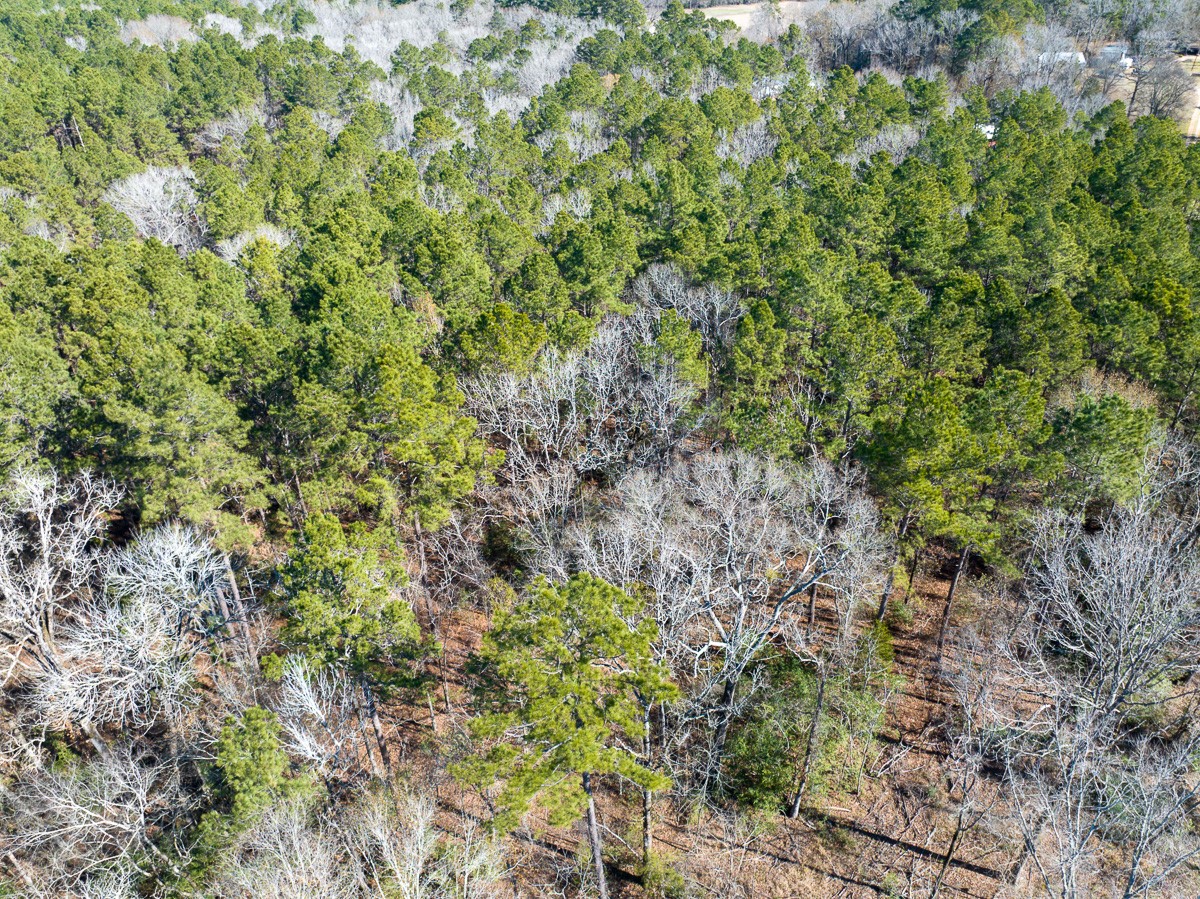 Tbd O'Quinn Road Pollok, TX 75969 - Photo 9 of 30