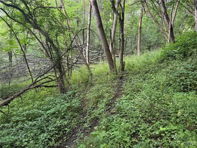 $19,500 | Creek Road, Cuba, NY 14727