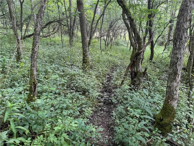 $19,500 | Creek Road, Cuba, NY 14727