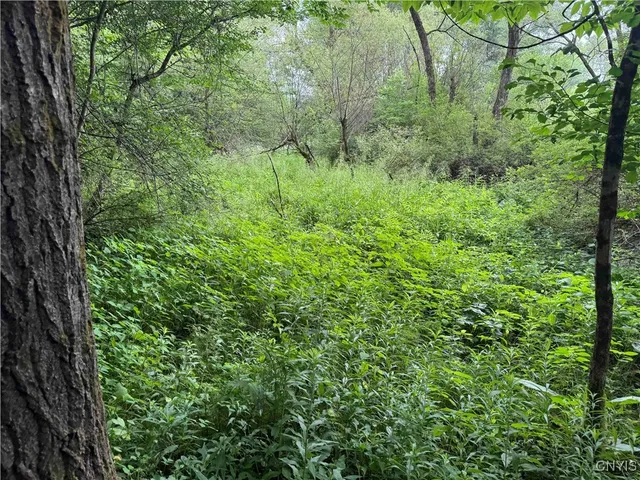 $19,500 | Creek Road, Cuba, NY 14727