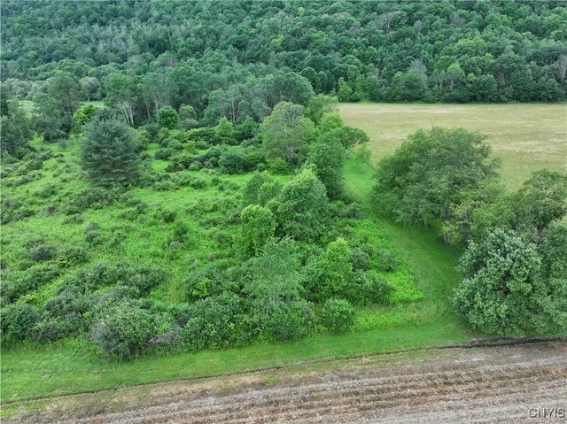 $19,500 | Creek Road, Cuba, NY 14727