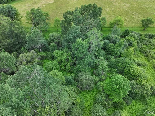 $19,500 | Creek Road, Cuba, NY 14727