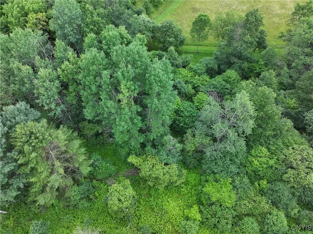 $19,500 | Creek Road, Cuba, NY 14727