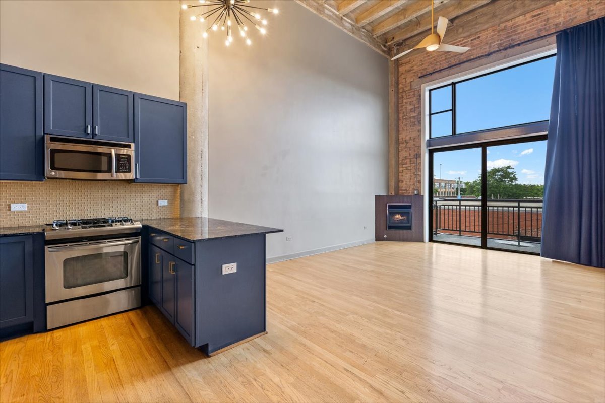 2545 South Dearborn Street, Unit 331 Chicago, IL 60616 - Photo 11 of 33