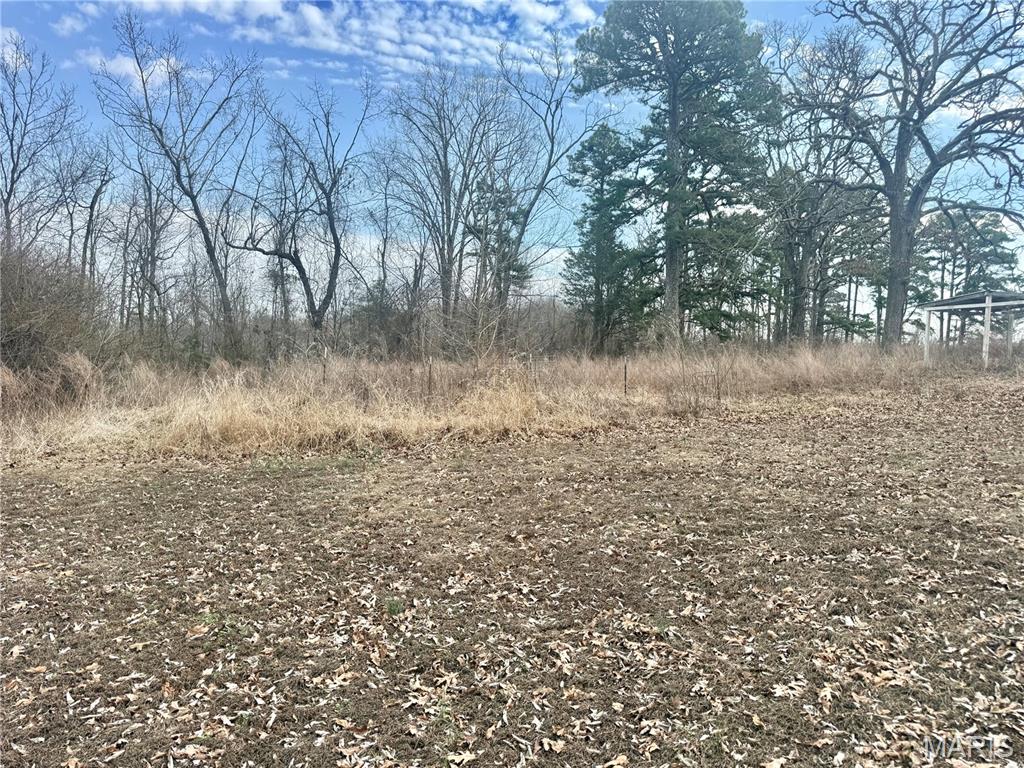 3230 Highway 72 Fredericktown, MO 63645 - Photo 15 of 43